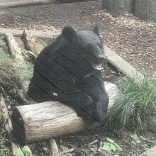 埼玉県大宮公園小動物園