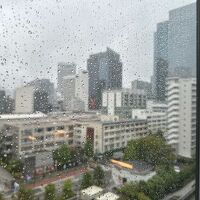 大雨で東京タワーが見えなくて残念