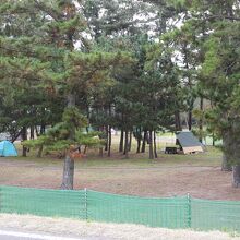 和田公園の風景