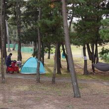 ディキャンプを楽しむ若者