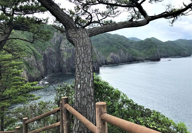 まさに絶景。晴れていれば、さらに海の色が素晴らしかっただろう！