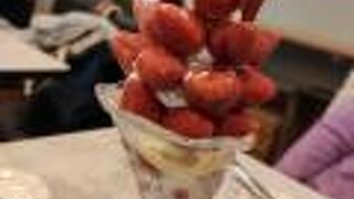 アロー ツリー 西宮店