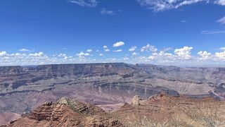 入園料はカードのみなので注意