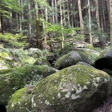 岩だらけの頂上