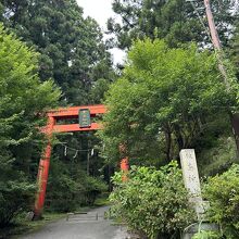 赤い鳥居