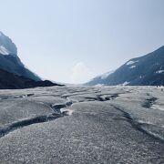 アサバスカ氷河の氷に触る