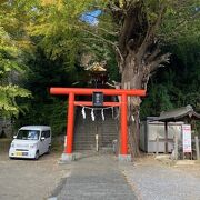 京急追浜駅から近く。立派な銀杏で有名です。