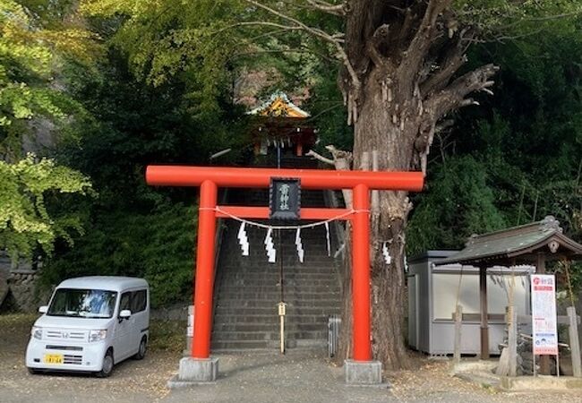 京急追浜駅から近く。立派な銀杏で有名です。