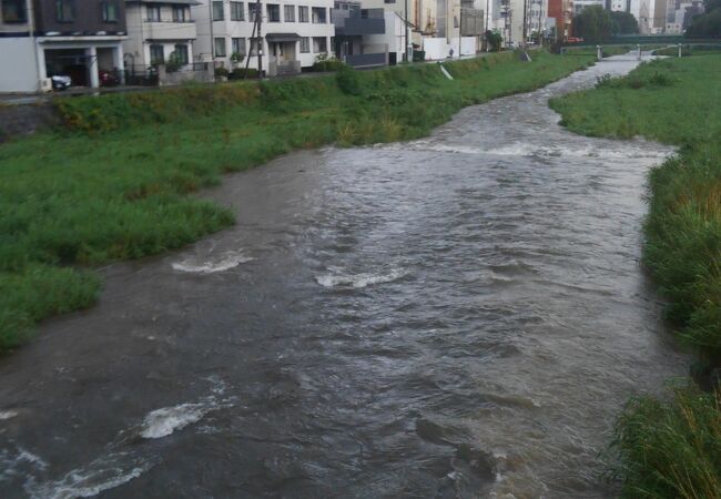 盛岡市街を流れる川