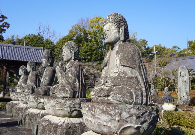 五智山 蓮華寺