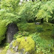 初夏の庭園は美しい♪