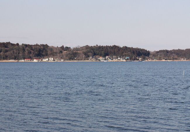 ミサゴが見られました。