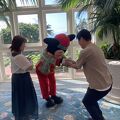 ディズニーのグリーティング好きにはお勧めのホテル