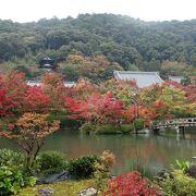 雨の日か名残の紅葉が狙い目