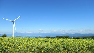 郡山布引風の高原