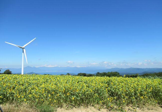 郡山布引風の高原