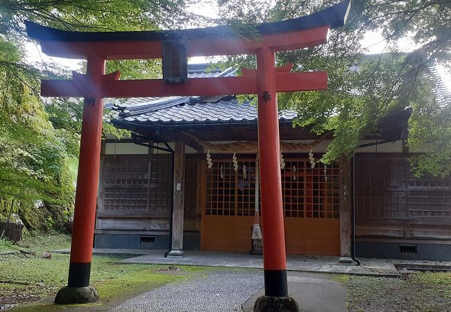 出石城跡内にあります。たくさんの赤い鳥居が目印