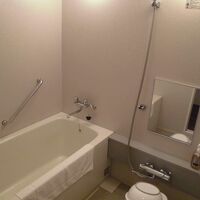 バスルームの水圧は高かったです。