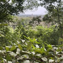 プノンバケン寺院からアンコールワット見た風景です。