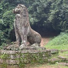 プノンバケン寺院のライオン像です。