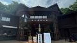 奥入瀬渓流散策前に訪れるのが吉