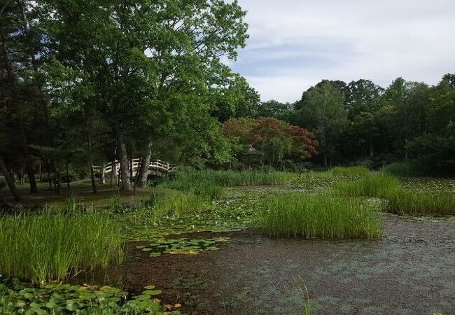 玉泉館跡地公園