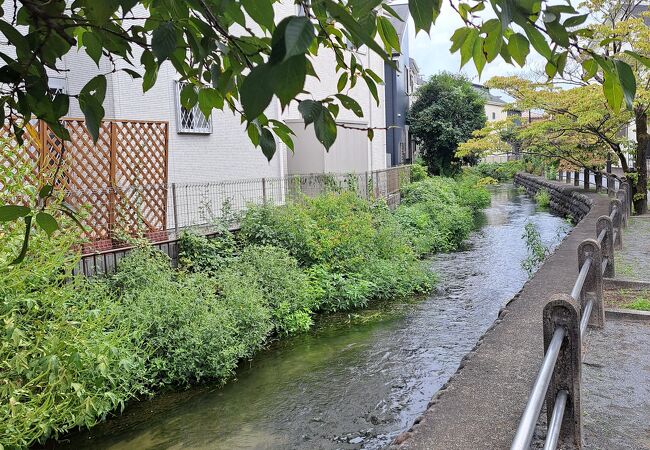 水が豊かな稲城を実感します