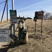 大野山でハイキング