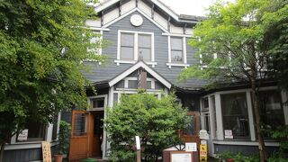 軽井沢の定番観光スポットで、旧軽井沢ロータリーから「つるや旅館」まで約７５０ｍにわたって続く商店街です。