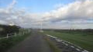 交通量は激しかった