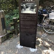 自然あふれる大型公園。