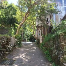 源氏公園に至る坂道