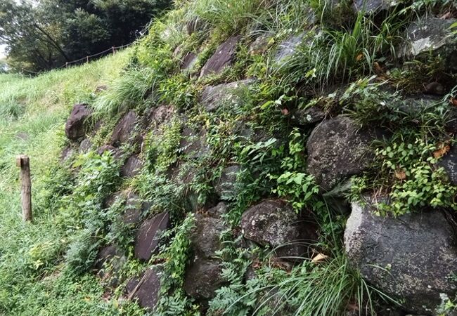 大空堀が見どころ