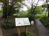 洗足池公園