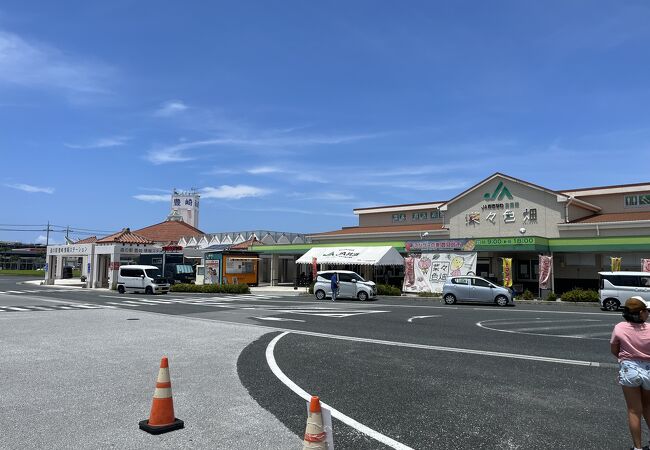 JAおきなわ食菜館菜々色畑