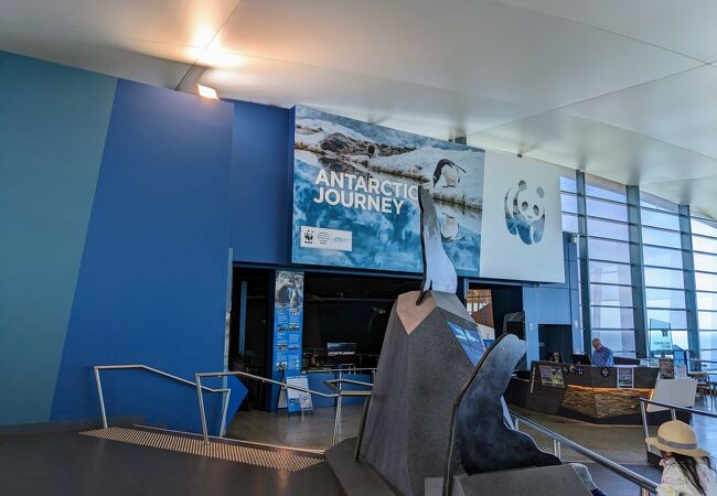 ノビーズセンター