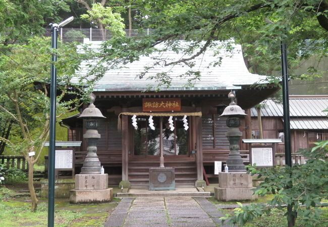 諏訪大神社