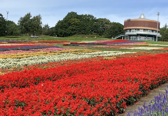 色とりどりの花がきれいでした。