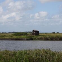 霞ヶ浦浮島湿原の風景
