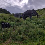 高知県観光にて