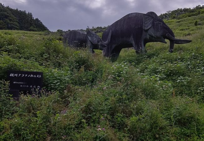 高知県観光にて