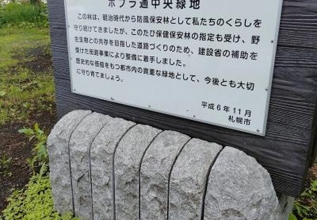 屯田防風林