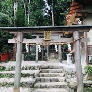 ハスと神社