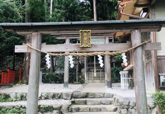 ハスと神社