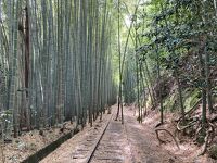 旧国鉄倉吉線泰久寺駅跡