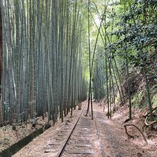 旧国鉄倉吉線泰久寺駅跡