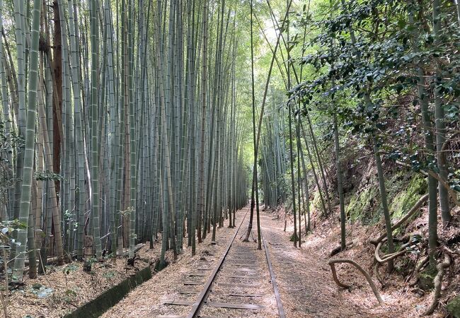 旧国鉄倉吉線泰久寺駅跡