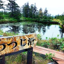 びふか松山湿原