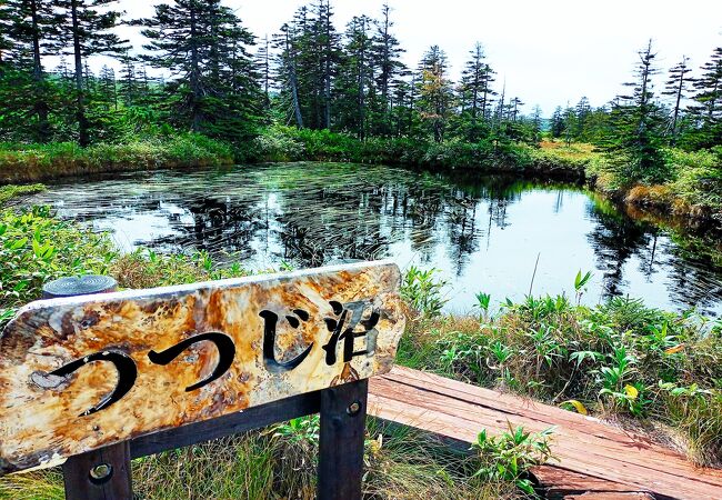 ガイドさんと一緒に　松山湿原へ