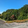 道立自然公園 野幌森林公園